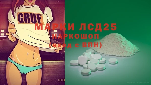 гидропоника Горнозаводск