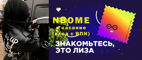 гидропоника Горнозаводск