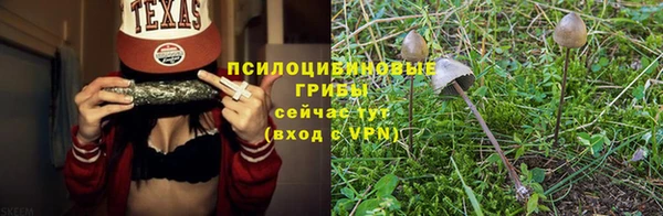 трава Горно-Алтайск