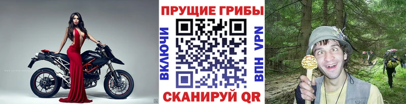 Галлюциногенные грибы ЛСД  Купить  Назарово 
